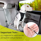360 degree swivel clip detail of Vivaglory chew proof leash