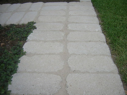 Close up of stabilized paver joints with white sand