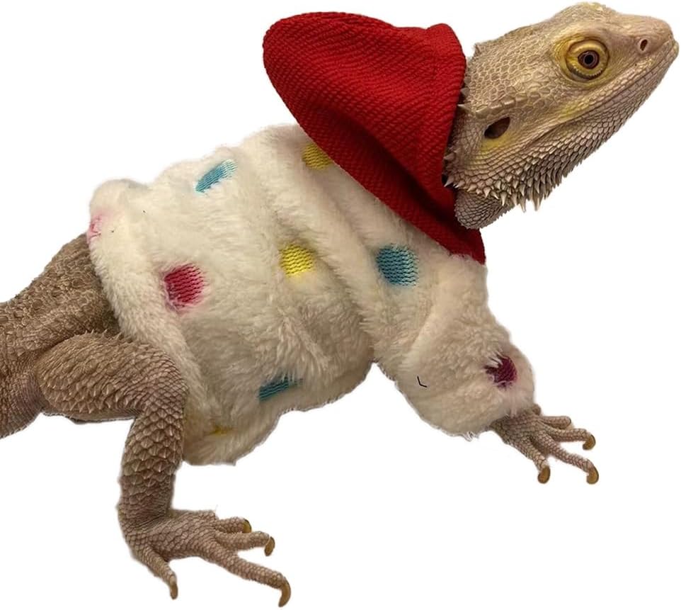 Haichen Tec reptile fashion sweater packaging overview