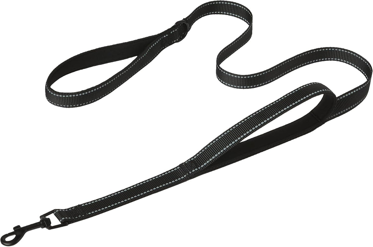 Side profile of Amazon Basics 16.4 foot dog leash