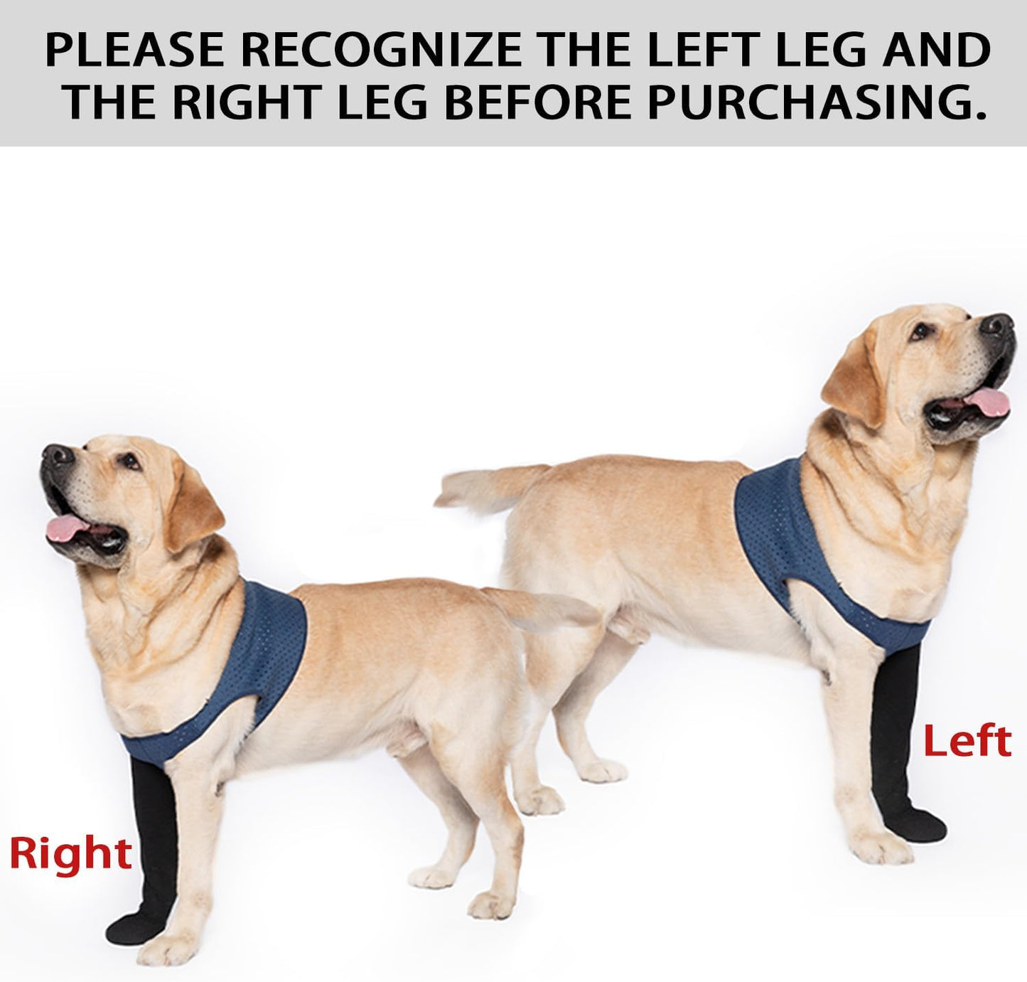 Coodeo protective dog sock adjustable strap detail