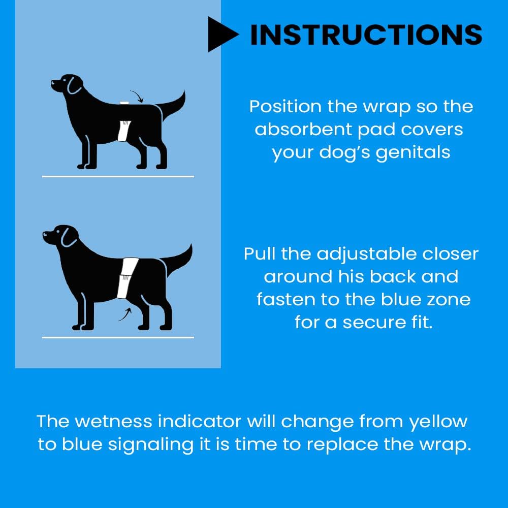 Leak proof disposable male dog wrap laid flat showing white and blue stripe design