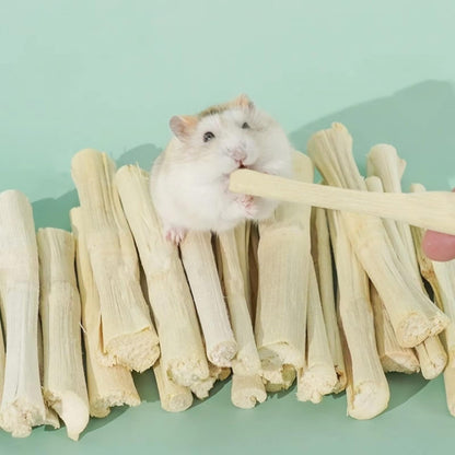 Premium quality sweet bamboo sticks for active small pet lifestyle enrichment.