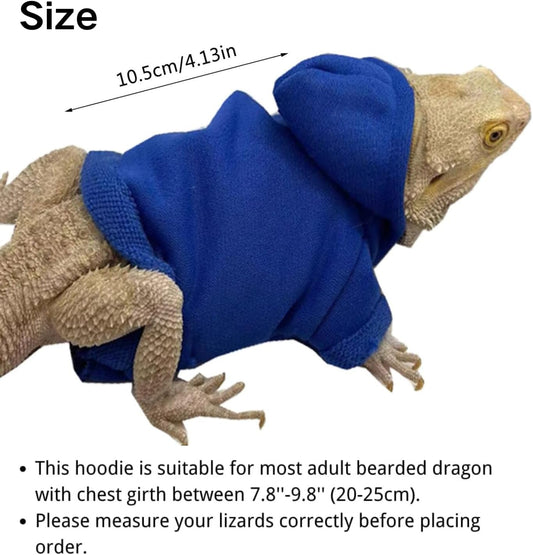 Handmade warm reptile sweater coat on adult bearded dragon