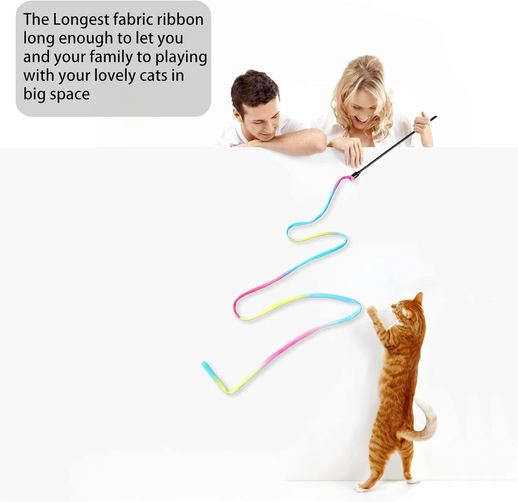 Two pieces of Amaxiu flexible cat exercise wand toys laid out flat