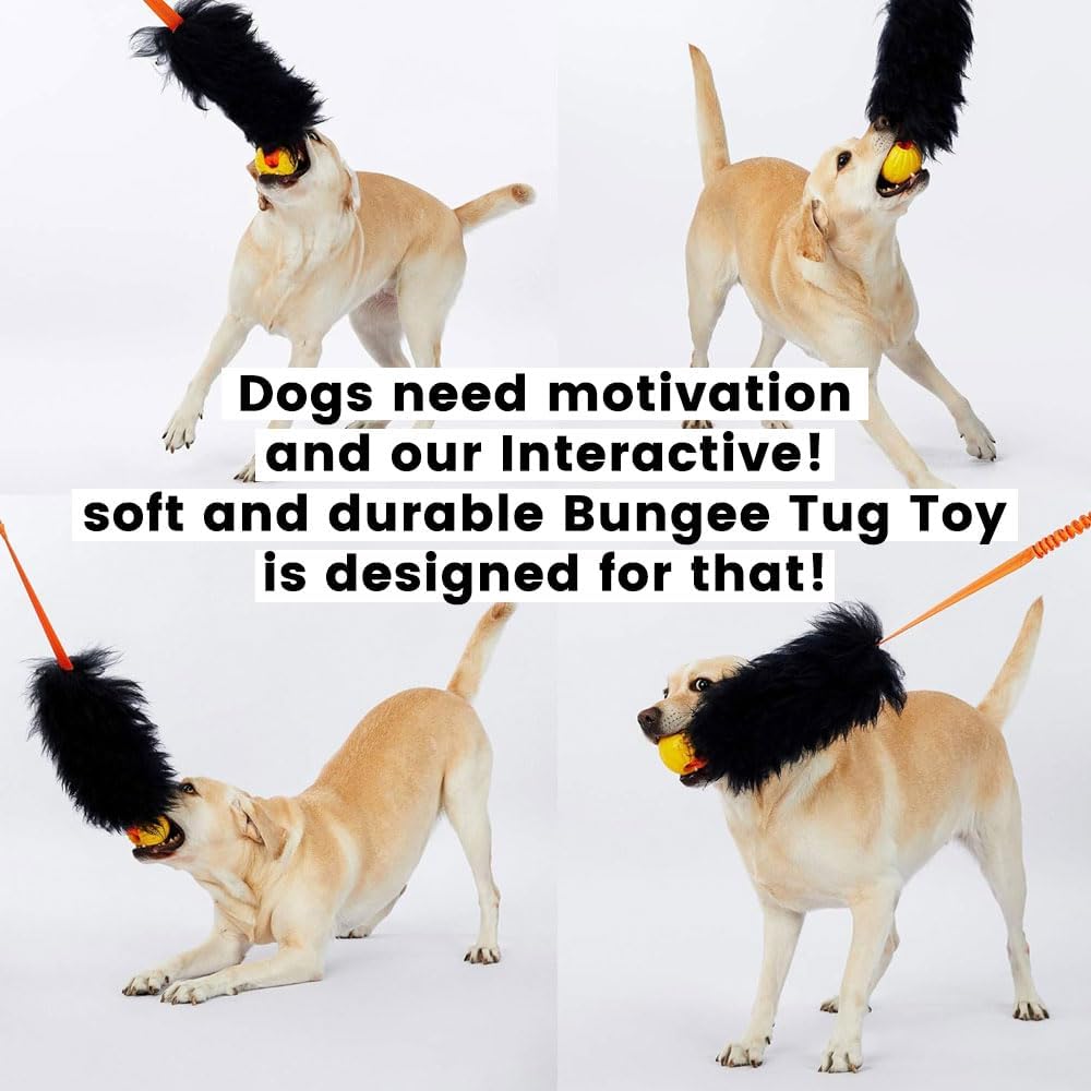 HOWGO purple long dog rope toy with shock absorbing climbing grade bungee handle
