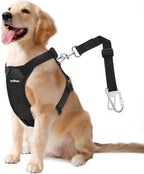 VavoPaw dog harness D-ring for leash connection