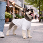 Authentic Lovelonglong dog apparel packaging