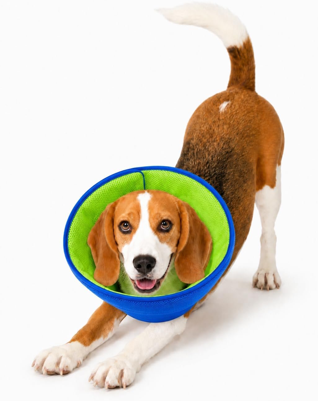 Dog Recovery Collar for Dogs After Surgery - Soft Breathable Dog Cone Collar, Lightweight Elizabethan Collar Alternative for Wound Healing, Anti Licking, Comfortable Sleep & Daily Eating,XL - Image 11