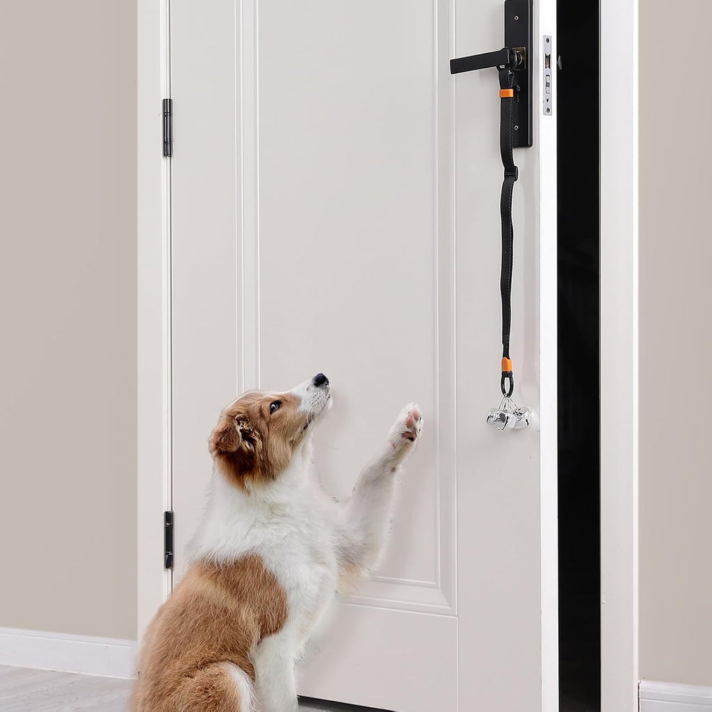 Puppy interacting with the SVD.PET potty training bell