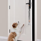 Puppy interacting with the SVD.PET potty training bell