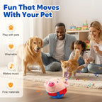 USB rechargeable interactive pet toy components