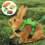 XPAPOV guinea pig vest harness featuring strawberry design