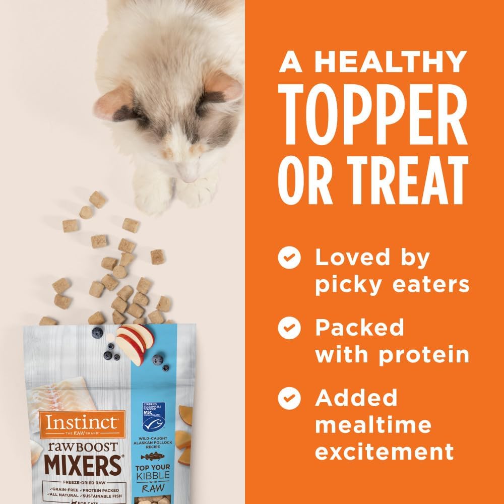 Instinct 5 ounce freeze dried raw cat food topper bag standing upright.