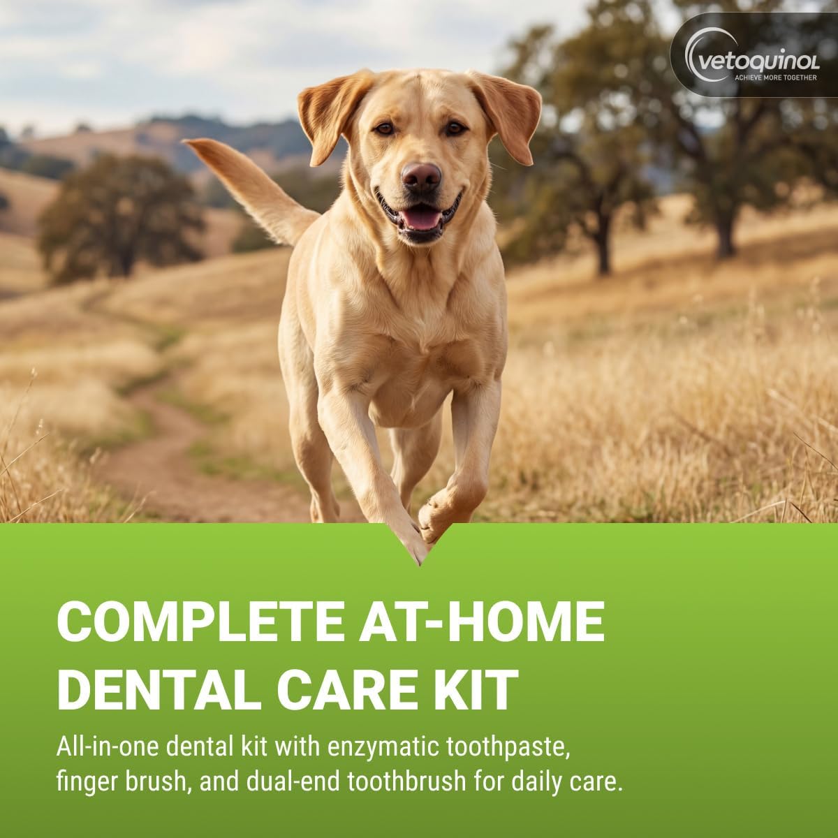 Vetoquinol pet dental care kit with poultry flavored enzymatic toothpaste for dogs and cats