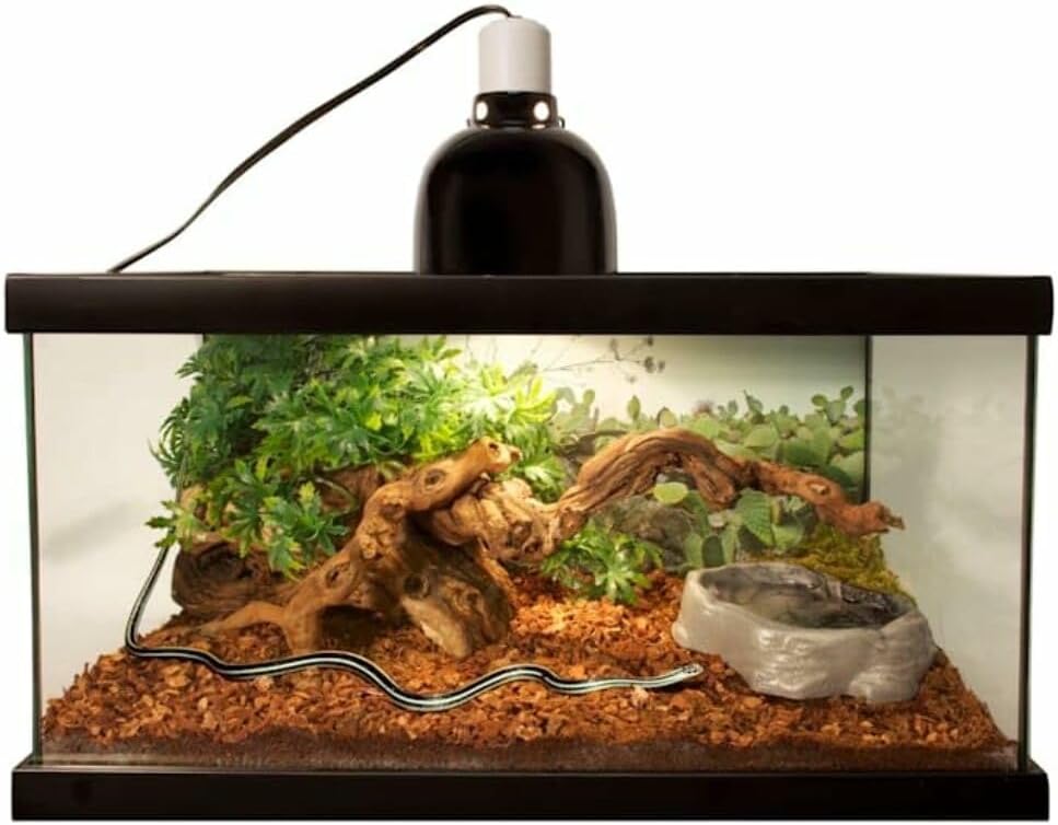 Zoo Med terrarium bedding bag with pet reptile graphics