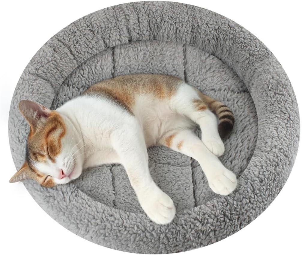 Enjoying small pet bed cushion dimensions view for kittens and puppies