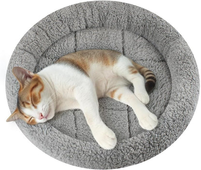 Enjoying small pet bed cushion dimensions view for kittens and puppies