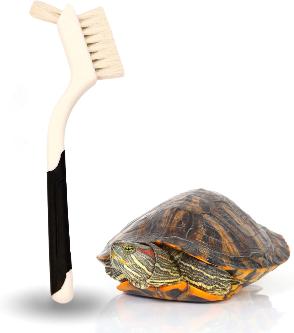 Turtle Cleaning Brush - Gently Remove Dirt from Turtles and Tortoises - Blue by Snout and Shell - Image 11