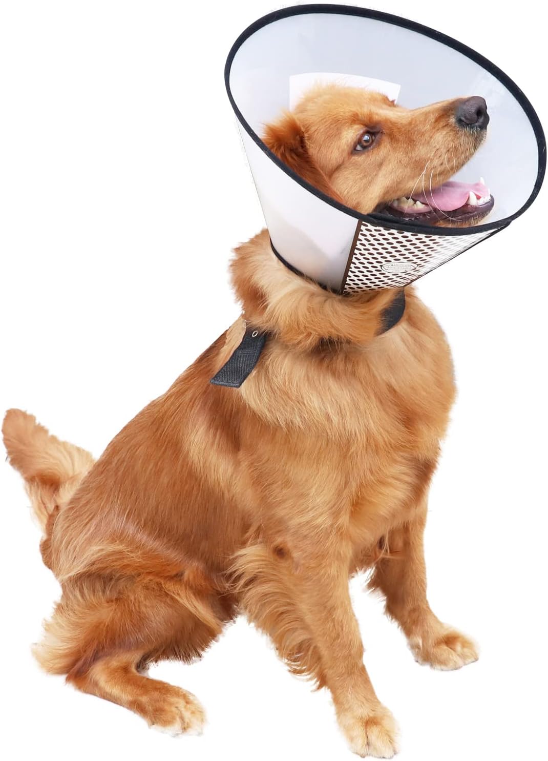 Lightweight flexible plastic elizabethan collar for small dogs and cats recovery.