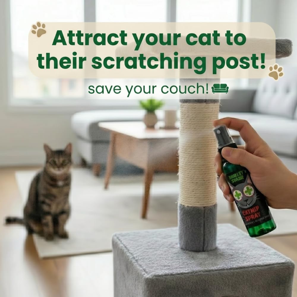 Cat interacting with toys refreshed by catnip spray