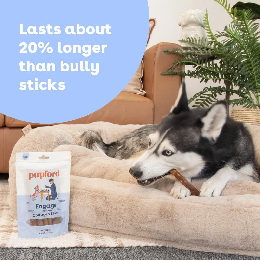 Pupford premium imported dog treats premium packaging side profile