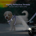 Bella And Pal lavender extra small harness sizing measurement guide visualization