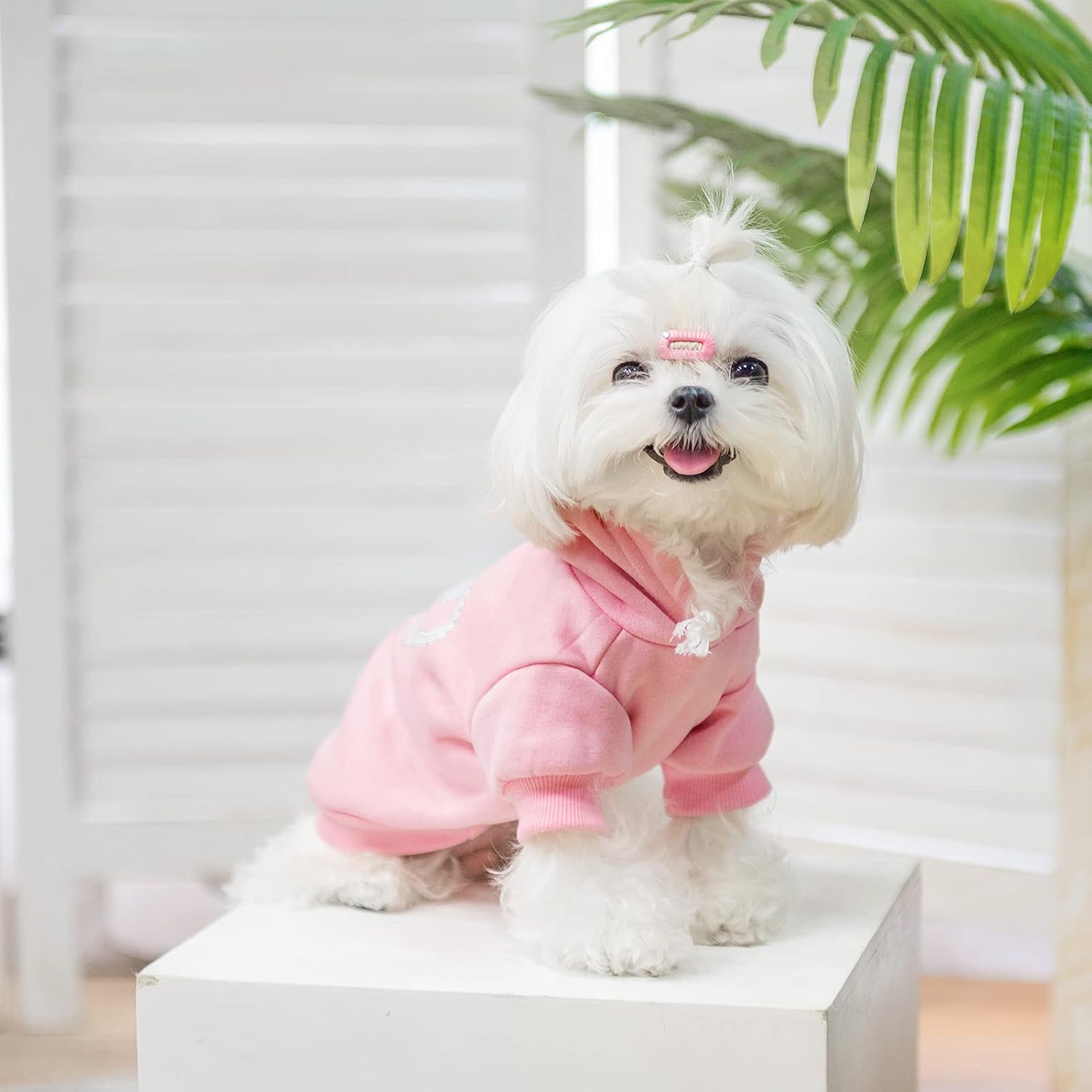 EXPAWLORER cozy pet apparel displaying the integrated leash hole opening at the upper back