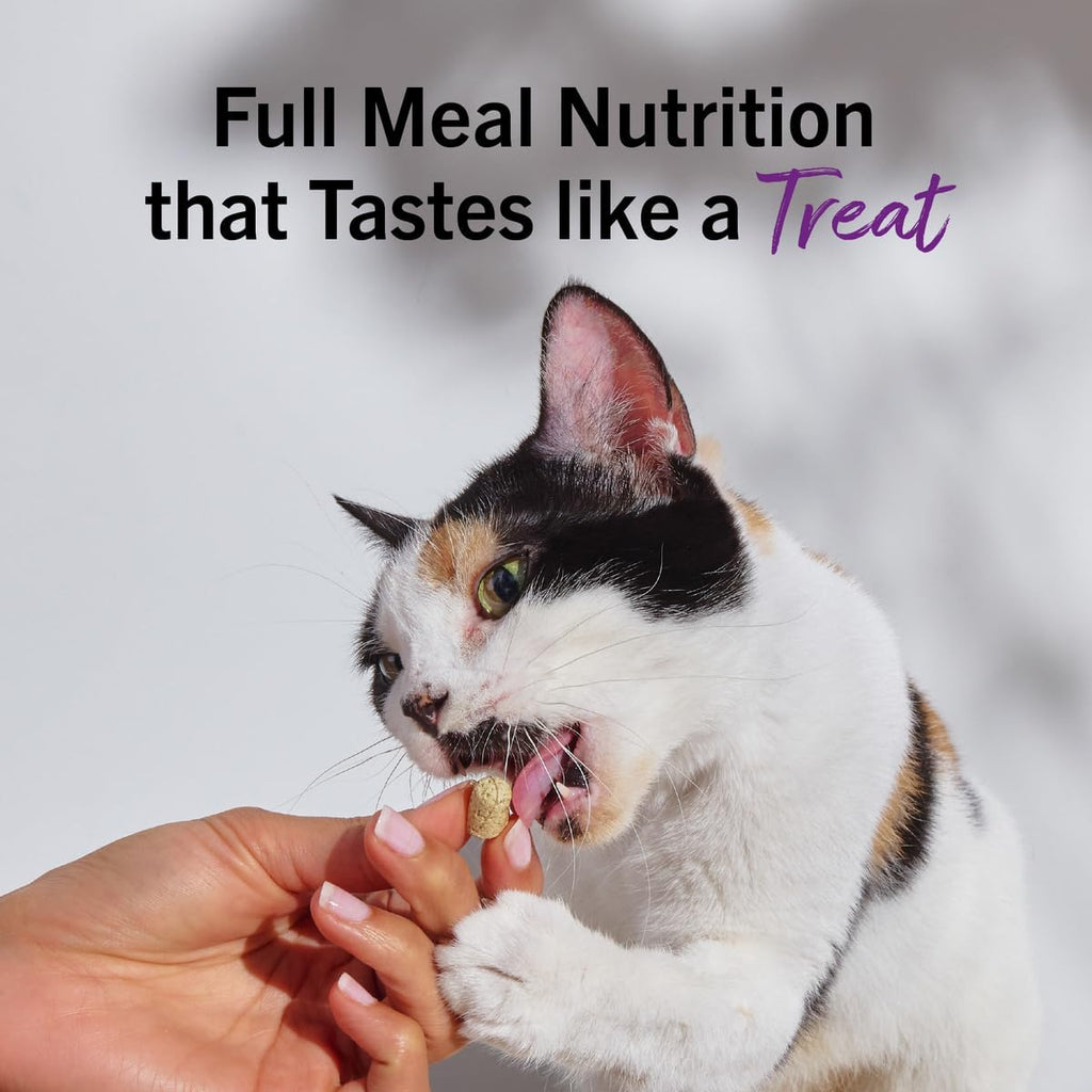 Stella & Chewy's Freeze-Dried Raw Cat Dinner Morsels - Premium Chicken Recipe with 98% Cage-Free Meat & Organs - Natural Grain-Free Cat & Kitten Food - Made in USA - 3.5 oz - Image 11