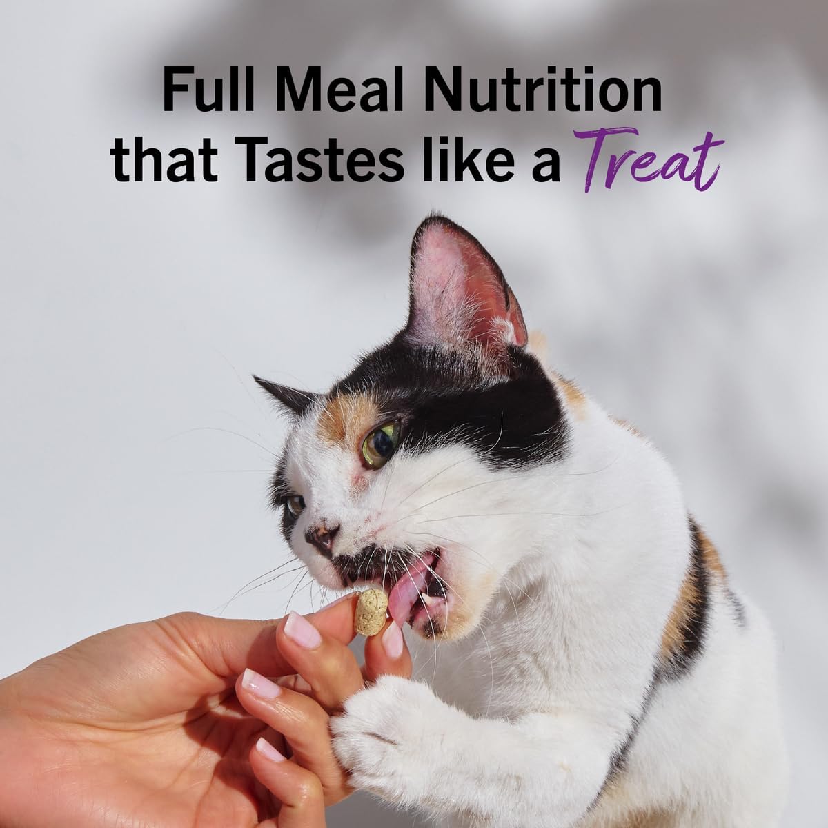 Stella & Chewy's Freeze-Dried Raw Cat Dinner Morsels - Premium Chicken Recipe with 98% Cage-Free Meat & Organs - Natural Grain-Free Cat & Kitten Food - Made in USA - 3.5 oz - Image 11