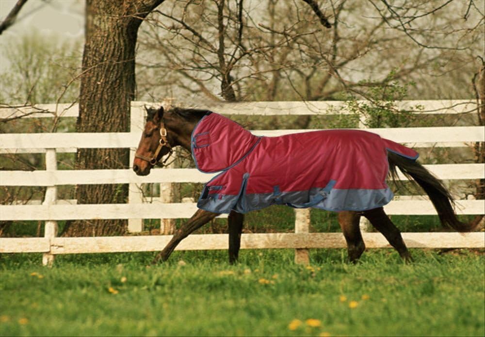 Rear view showing fit of 81 inch fly sheet