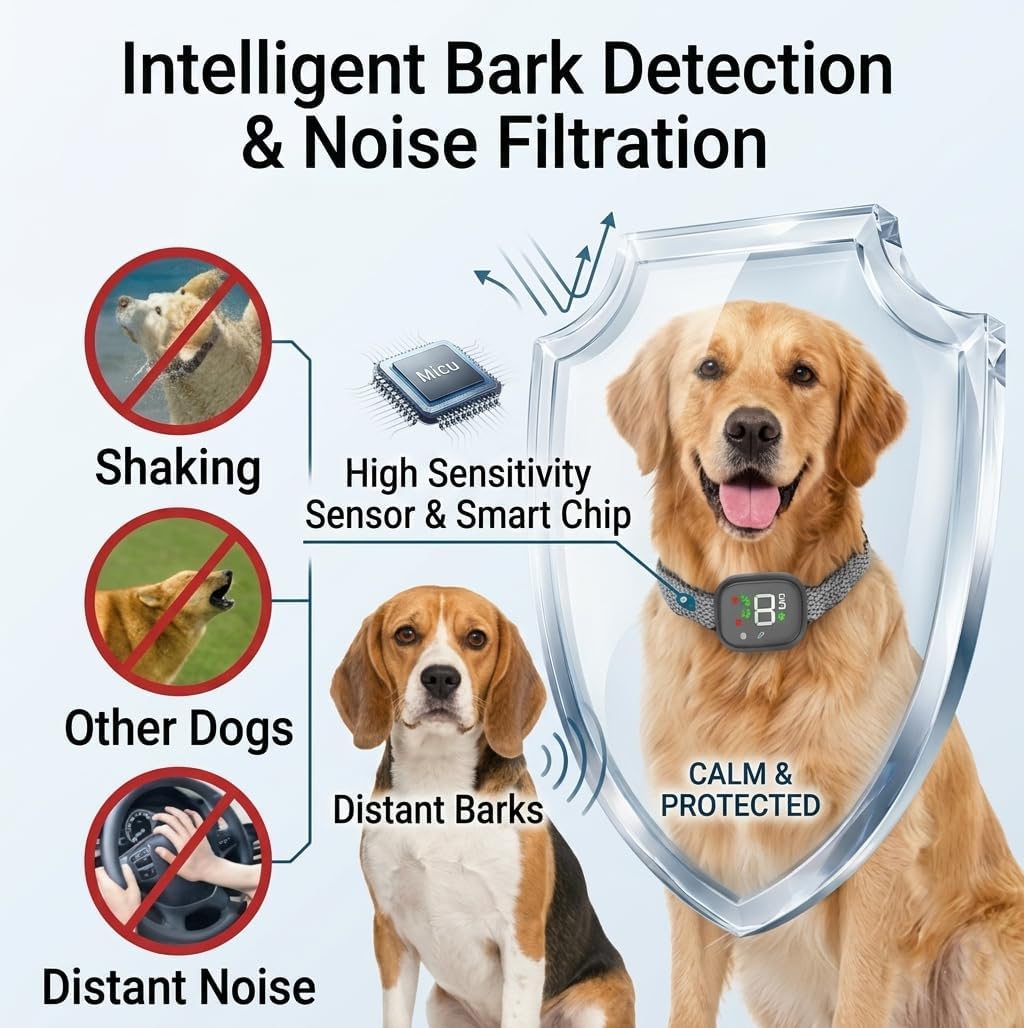 CBDYWVR dog training collar worn by a dog