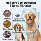 CBDYWVR dog training collar worn by a dog
