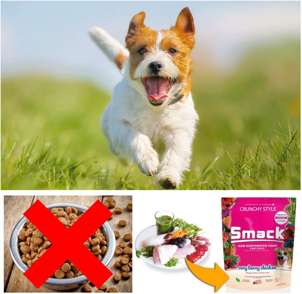 Healthy ingredients of Smack Very Berry Chicken dog food