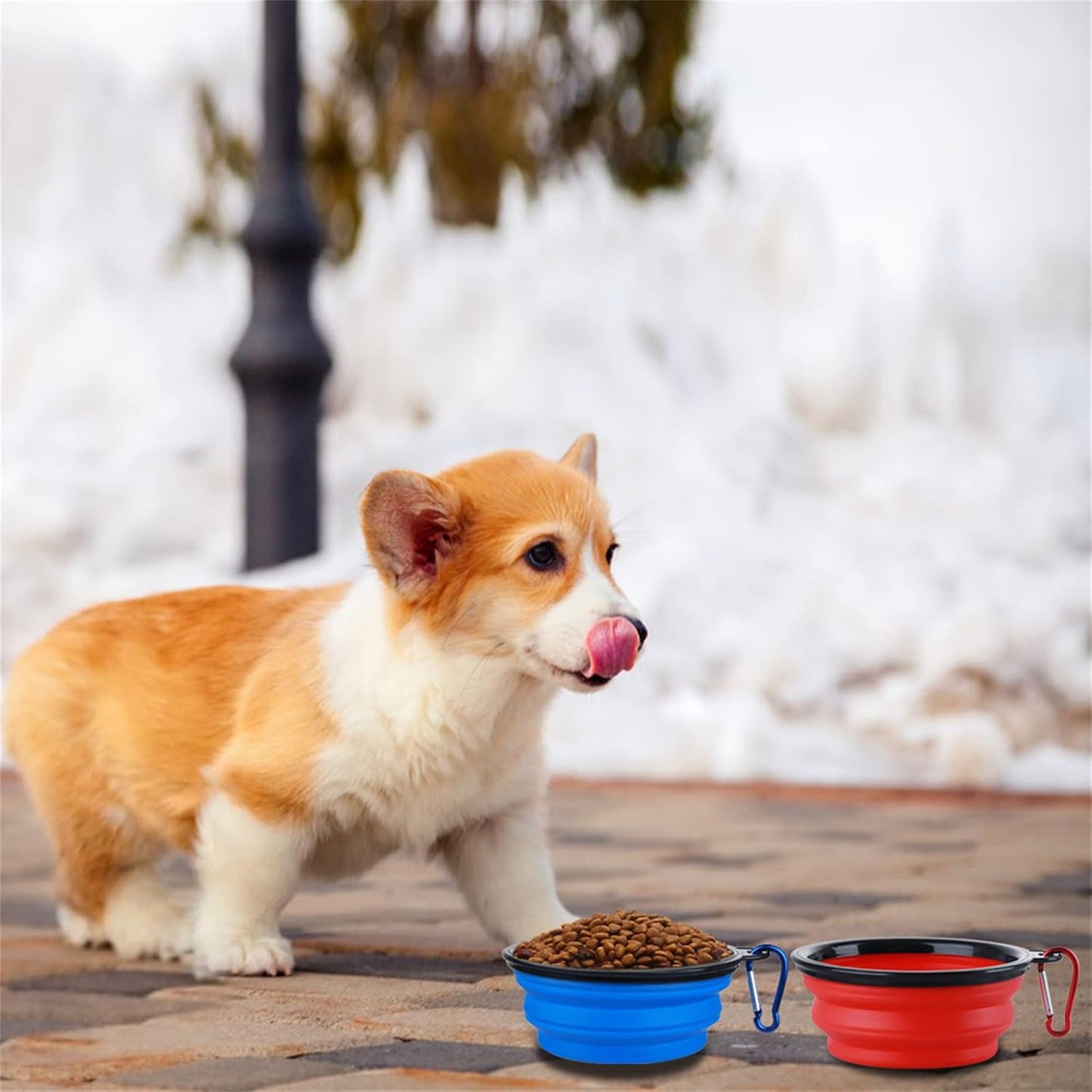 SLSON expandable pet travel dish showing dimensions and 1.5 cup food capacity for small dogs.