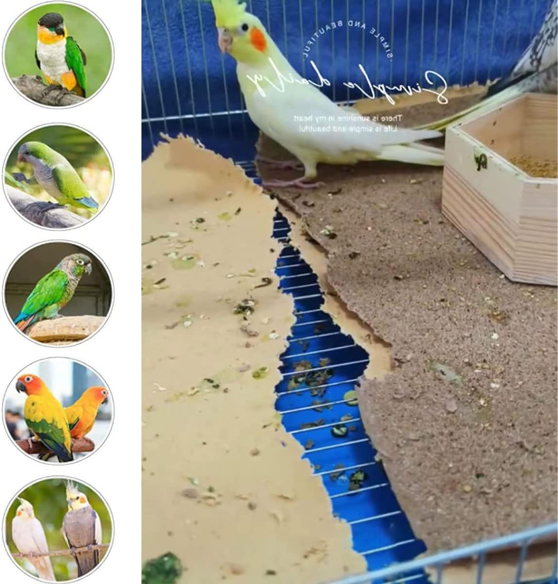 Bird inside cage with Firdnyohs gravel paper liner