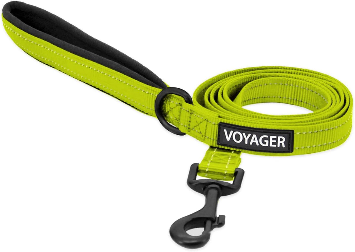 Imported premium dog leash with soft comfort grip handle for training.