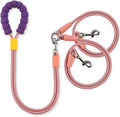 TANXIC double dog leash in pink front view showing padded handle
