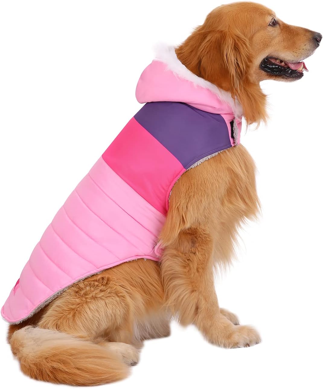 HDE Dog Puffer Jacket Fleece Lined Warm Dog Parka Winter Coat with Harness Hole Navy Retro Stripe - XXL - Image 15