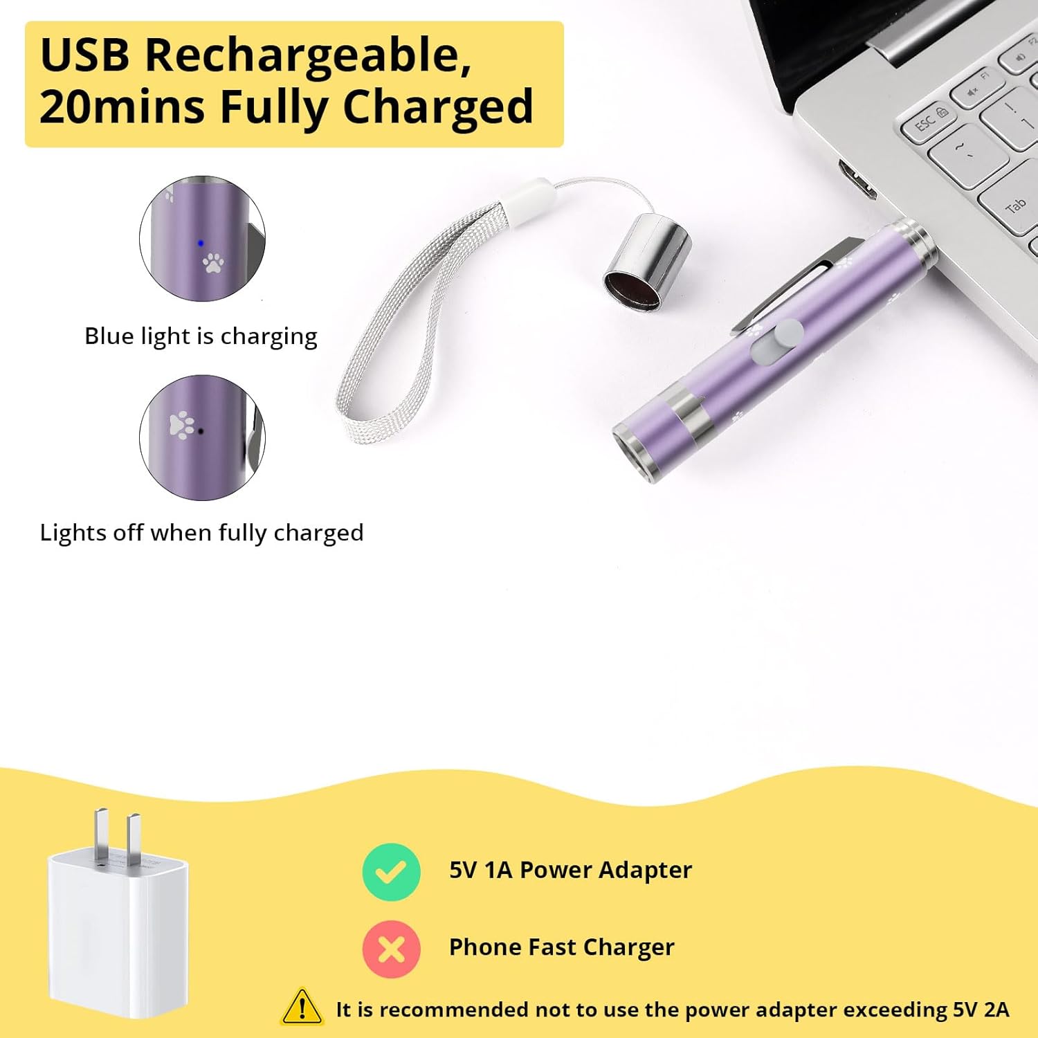 OUMSIS multi-mode pet tool demonstrating the white flashlight and purple UV light functions.