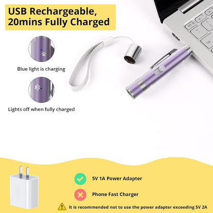 OUMSIS multi-mode pet tool demonstrating the white flashlight and purple UV light functions.