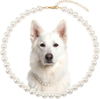 Rudra Retails imported Ymapinc pink beaded dog necklace for party dress up