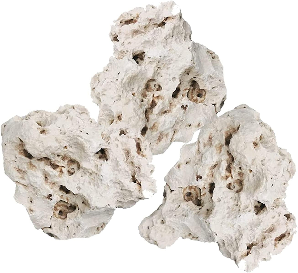 Hamiledyi aquarium holey rock stone front view showing natural white limestone texture.