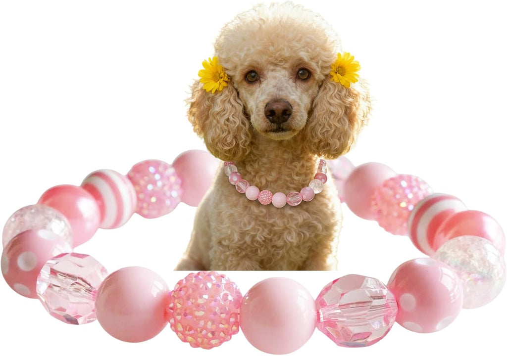 Premium imported USA dog necklace jewelry showcased in secure packaging for Indian pet owners.