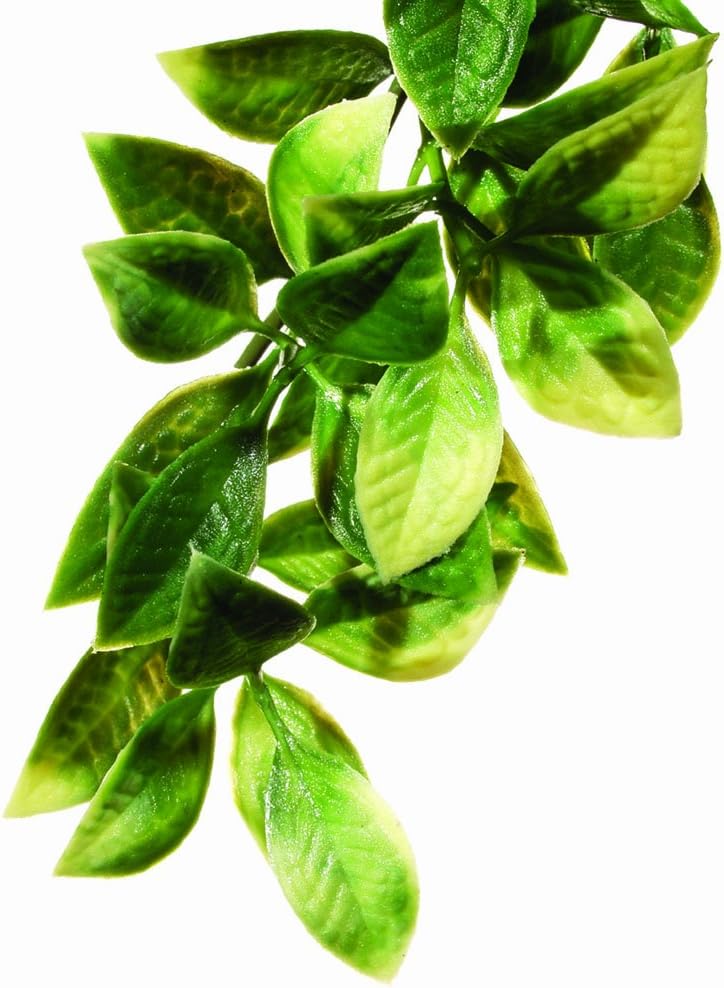 Exo Terra plastic terrarium plant small mandarin front view