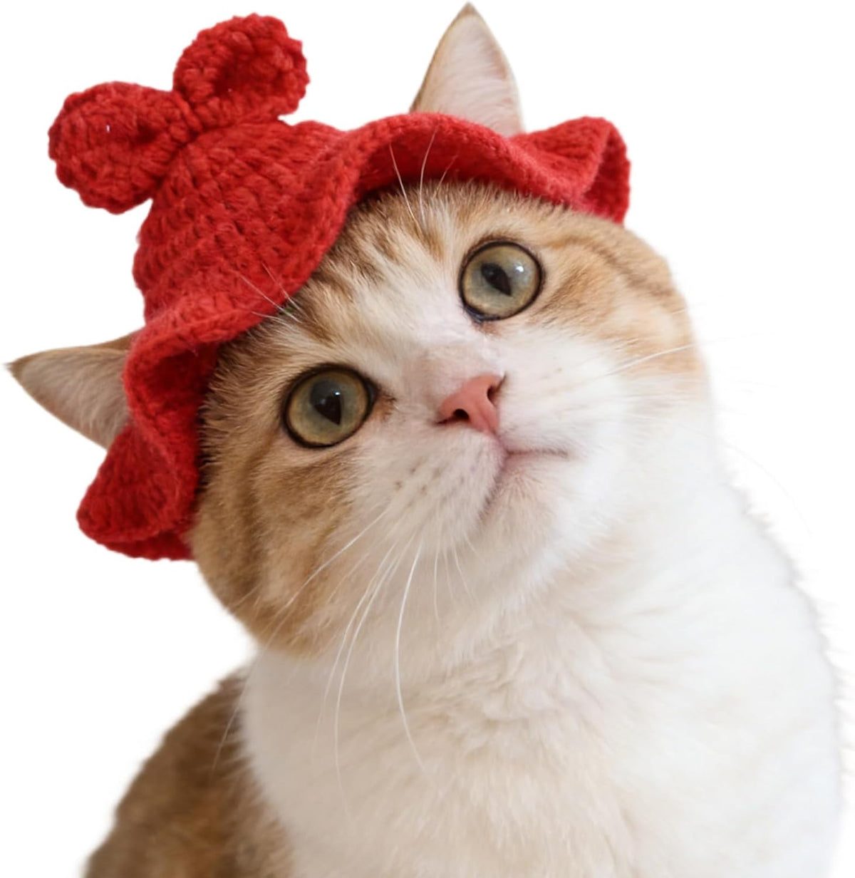 Strawberry Cat Hat, Cotton & Soft Cute Knitted Hats for Cats Birthday Party Christmas Puppy Hat for Small Pets (Red, M) - Image 9