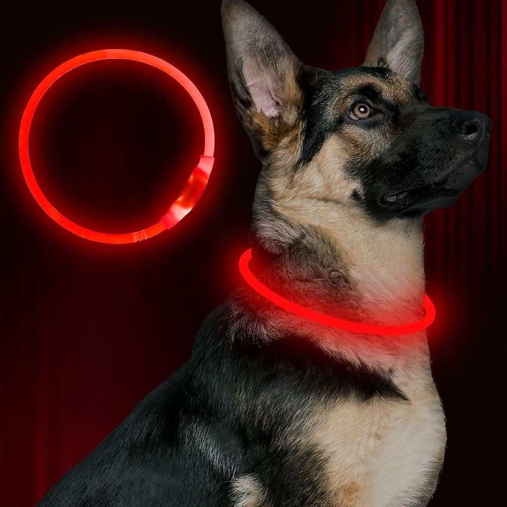 Comparison view of Bseen collar light visibility