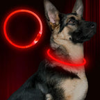 Comparison view of Bseen collar light visibility