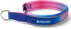 Spark Paws Martingale Dog Collar - Cushioned Slip-On Training Collar, Heavy Duty, Safety-Tested No-Buckle Collar for Medium & Large Dogs - 90s Retro - C - Image 15
