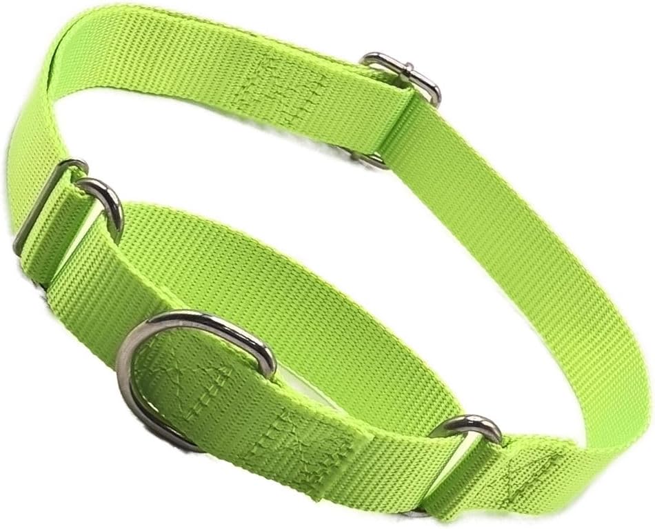 Hotlion black no-slip collar for large dogs lifestyle shot